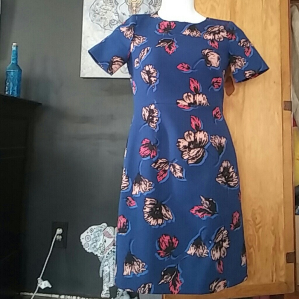 Beautiful Fabulous j .crew flower dress